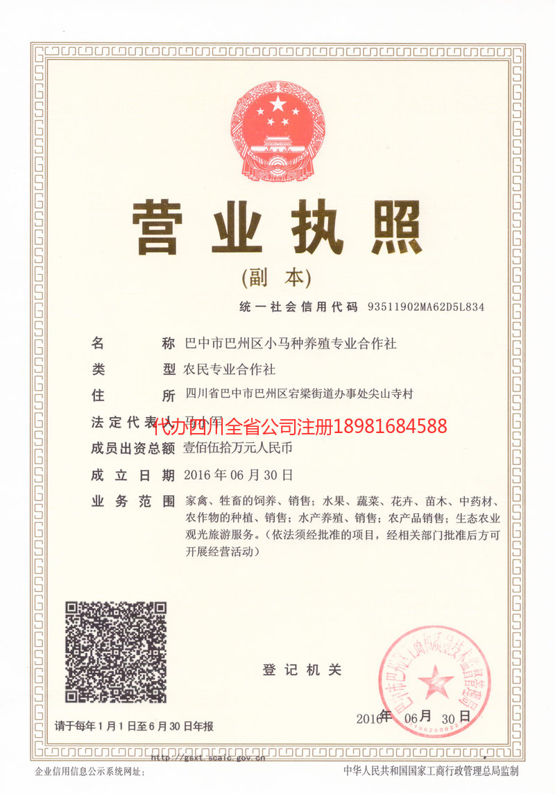 敦化敦化小马种养殖专业合作社